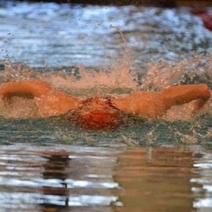 Meet your Posher, Liz